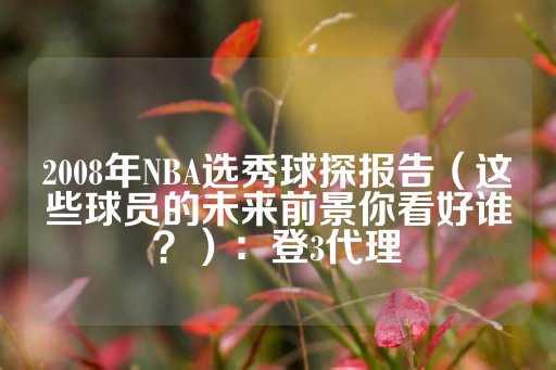 2008年NBA选秀球探报告（这些球员的未来前景你看好谁？）：登3代理