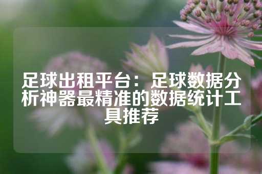 足球出租平台：足球数据分析神器最精准的数据统计工具推荐