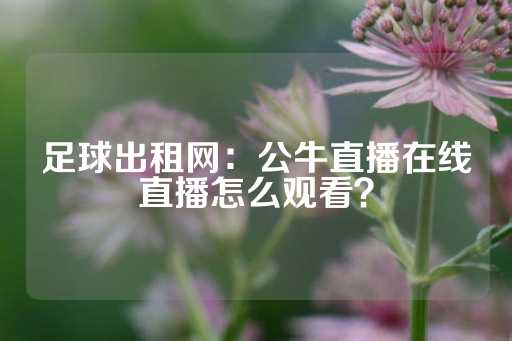 足球出租网：公牛直播在线直播怎么观看？